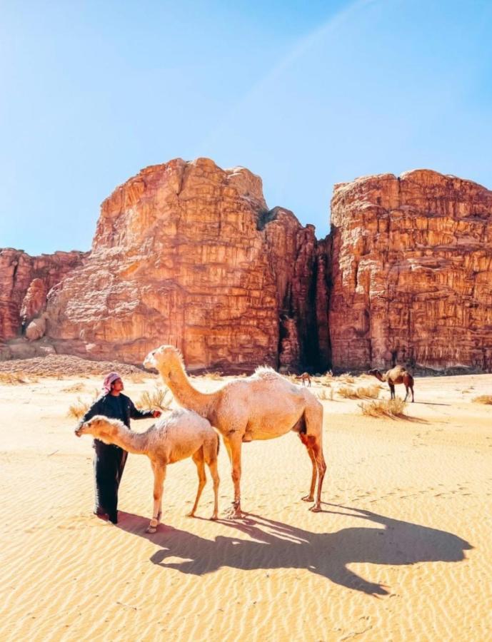 Wadi Rum Tents Экстерьер фото